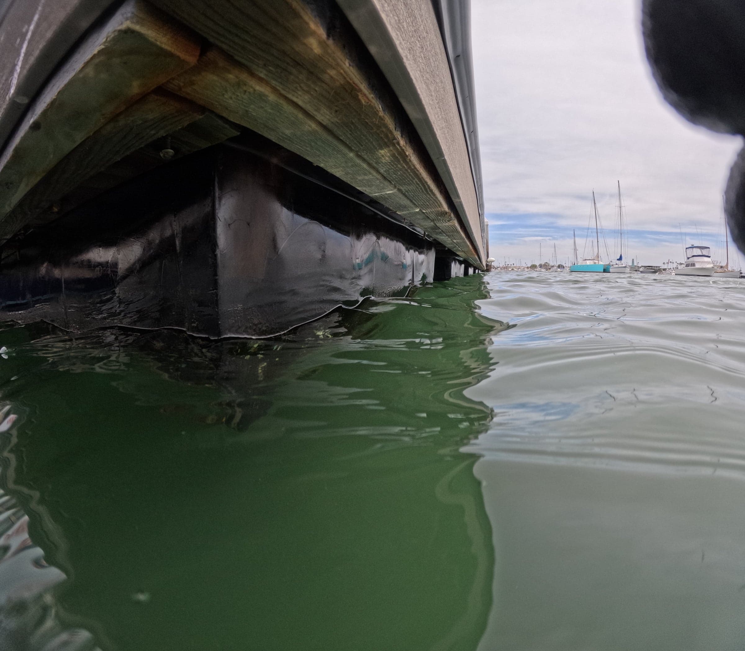 Dock pilings at the waterline with banded marine growth and marina in background