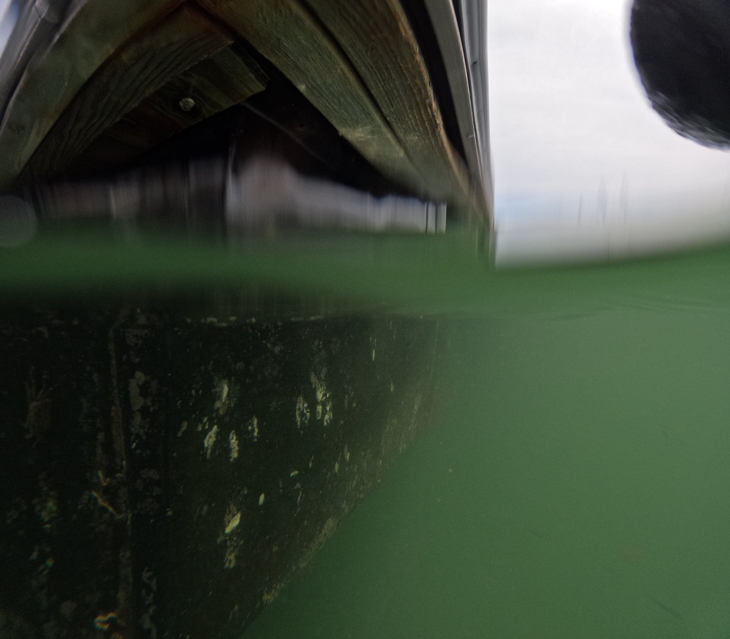 Split-level shot of a dock piling, half above water and half below