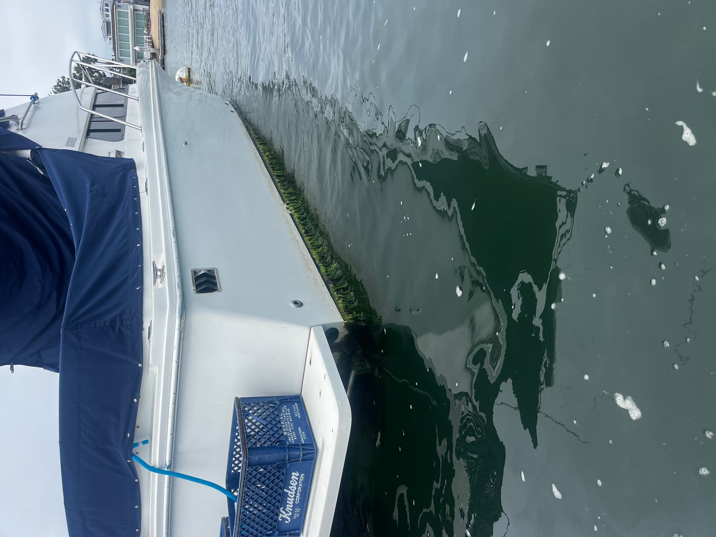 Marine growth riding the waterline of a white motor yacht near the swim platform
