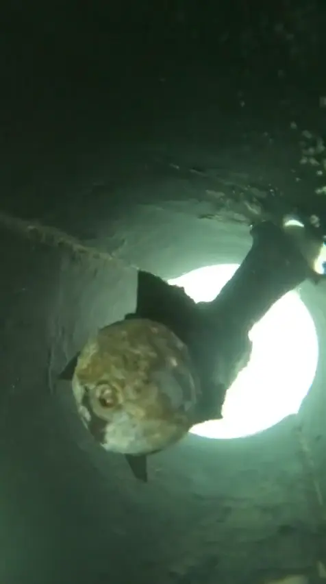 Bow thruster with all blades broken off. Found on initial service — Water Works Yacht Services, Southern California